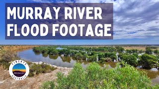 Murray River Flood Footage  SA  Murray Bridge to Waikerie [upl. by Illona965]