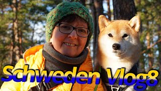 NordSchweden Winter Roadtrip F8 ⛐❄️ Nationalpark Tiveden Vättern See Jönköping Trelleborg ☃️ G8N [upl. by Nwahsan632]