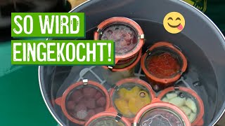 Wohin mit der Ernte Obst und Gemüse einkochen [upl. by Lleznov]