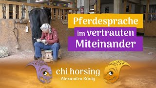 Pferdesprache im vertrauten Miteinander Hufe Seitengänge o Longieren mit chi horsingPferdepsyche [upl. by Octavla11]