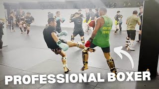 Professional Boxer Tries Muay ThaiMMA Sparring [upl. by Llemaj]