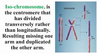 Iso Chromosome Meaning [upl. by Aseen]