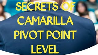 The hidden secrets of Camarilla Pivot Point revealed [upl. by Sianna]