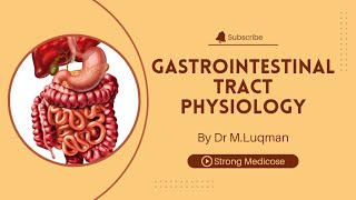 GIT physiology part 9  Large Intestine Movements  Haustrations and Mass movements [upl. by Arrak]