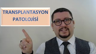 Transplantasyon Patolojisi [upl. by Enidaj]