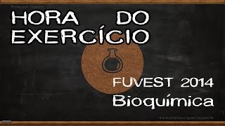 FUVEST 2015  Transcrição e tradução [upl. by Ahsimac]