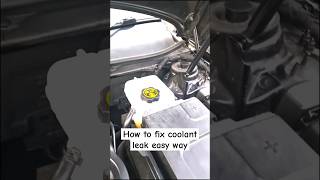 Radweld How to fix coolant leak EASY [upl. by Liagabba353]