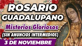 ROSARIO GUADALUPANO 3 DE NOVIEMBRE SIN ANUNCIOS INTERMEDIOS 🌷 Misterios Gloriosos 🙏 [upl. by Aicemak]