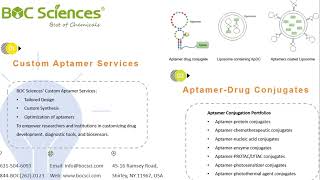 Aptamers Synthesis  AptamerDrug Conjugates [upl. by Lav]