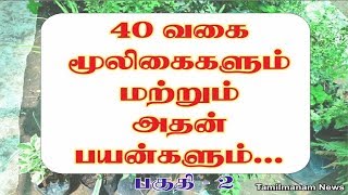 Herbs and their uses in tamil  40 herbal plants and their uses Part 2 [upl. by Rumpf]