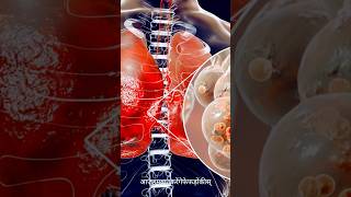 Diet for Pneumonia healthydiet pneumonia healthyfood [upl. by Anatnom705]