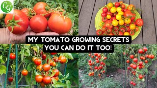 🍅Unlocking Tomato Mastery Top 10 Secrets for Exceptional Tomato Growth🍅 [upl. by Saxela]