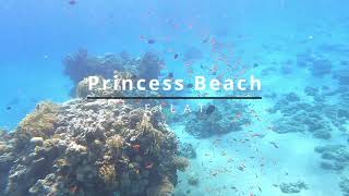 Princess Beach snorkeling underwaterlife travel [upl. by Nydnarb]