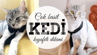 KRAVATLI KEDİ KIYAFETİ DİKİMİ  ÇOK BASİT  DIY CAT DRESS [upl. by Eahs583]