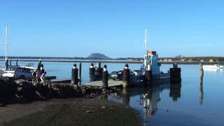 Matakana Island Ferry [upl. by Neros175]