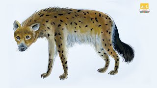 How to Draw Hyena easy II Hyena drawing II artjanag [upl. by Alletniuq]