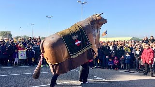 El Bou Tradicional La Mulassa de Valls i els Gegants de la Riba [upl. by Tati]