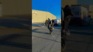 xtx660 xt660x yamaha yamahaxt660x wheelie [upl. by Agem359]