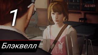 Прохождение Life Is Strange Android  Часть 1 Блэквелл [upl. by Burn]