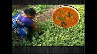 चाकवत भाजी गरगट्टा  Chakvat Bhaji  Bathua Sabji ki Dal  chakwat aamti  local dish of kolhapur [upl. by Yob]