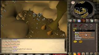 Runescape 2007 How to get all monkey greegrees [upl. by Akena]