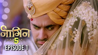 NAAGIN 5 Episode 1 Full Story  NAAGIN 5  नागिन 5 [upl. by Shapiro566]