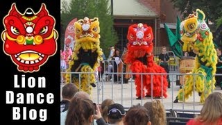 BCA Junior Team  Lion Dance  Bendigo Easter Festival 2013 [upl. by Eidnim811]