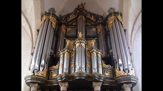 Sietze de Vries Demonstration Schnitger Organ Martinikerk Groningen NL [upl. by Evelin652]