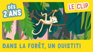 Dans la forêt un Ouistiti le clip  Mon imagier des comptines de la maternelle  Gallimard Jeunesse [upl. by Elatia833]