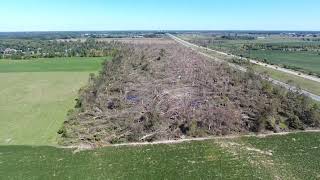 WilliamstonWebberville Tornado Aftermath  2023 [upl. by Enois429]