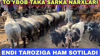 ZANG MOLBOZORDA TAROZIGA QOYLAR SOTILYAPTI SARKA TAKA ECHKI ULOQ NARXLARI [upl. by Doti209]