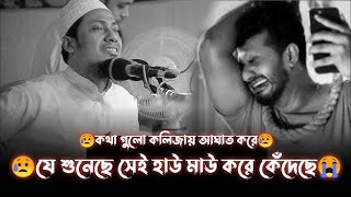 কথা গুলা শুনলে কান্না থামাতে পারবেন না  Anisur Rahman Ashrafi  AL iqra 20  New waz 2024 [upl. by Melisenda]