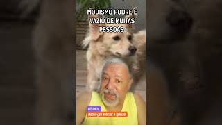 MODISMO PODRE E VAZIO DE MUITAS PESSOAS motivação notícias opinião nilson10 cachorros [upl. by Lynnette]