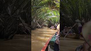 Rowing Boat Tour in Mekong Delta Vietnam [upl. by Bailar]