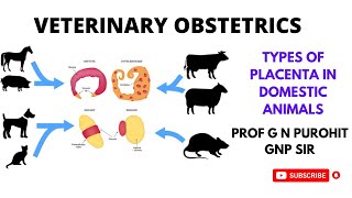 Placenta types and functions in domestic animals I Veterinary Obstetrics I VGO I GNP Sir I Cotyledon [upl. by Eentroc]