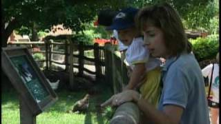 Experience the Deanna Rose Childrens Farmstead [upl. by Yob]