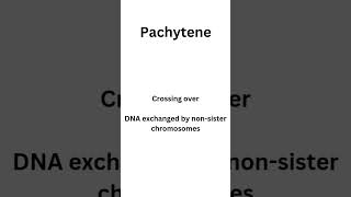 Meiosis Prophase 1 sub stages  Leptotene Zygotene Pachytene Diplotene and Diakinesis botany [upl. by Trueman]