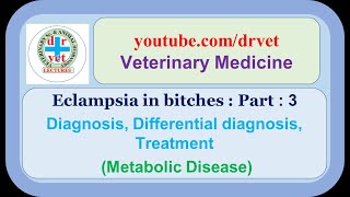 Eclampsia in bitches Part 3 diagnosis differential diagnosis treatment [upl. by Upton587]