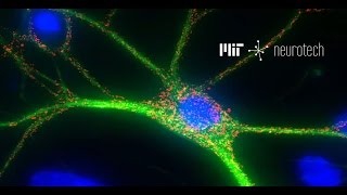 MIT Neurotech From Neuron Signals to Behavior Microelectrodes [upl. by Consuela687]