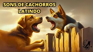 Cachorros Latindo Teste a Reação do Seu CÃO 🐾🐶🔊 Latidos Diversos [upl. by Talia]