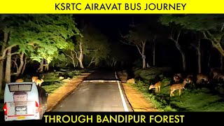 KSRTC AIRAVAT B9R BUS JOURNEY THROUGH BANDIPUR FOREST  Mudumalai Tiger Reserve🐯 [upl. by Enitsugua275]