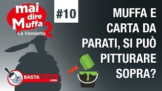 Muffa e carta da parati Si può pitturare sopra [upl. by Barrus221]