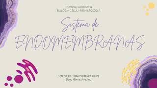 Sistema de Endomembranas [upl. by Ronym]