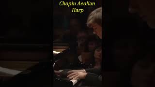 Chopin quotAeolian Harpquot Étude Op 25 No 1 [upl. by Nenerb]