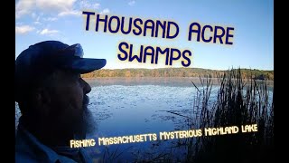 Thousand Acre Swamp Buket List Bass [upl. by Ecirad]