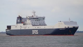 Dfds SELANDIA SEAWAYS  RoRo cargo ship arriving at Port of Felixstowe 🇬🇧 31024 [upl. by Aronoel]