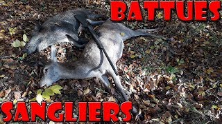 Battues Sangliers Cervidés Chevreuils Renards  Battue Part 3 🐗 [upl. by Sined]