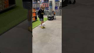 When We Walk In Sports Direct 🙃 footieoliv [upl. by Gunn]