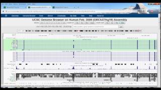 3 UCSC Genome Browser Tutorial BLAT [upl. by Oeak]