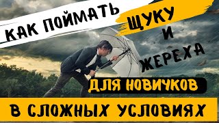 Как поймать Новичку ЖЕРЕХА и ЩУКУ в сложных УСЛОВИЯХ на СПИННИНГ с БЕРЕГА [upl. by Lethia]